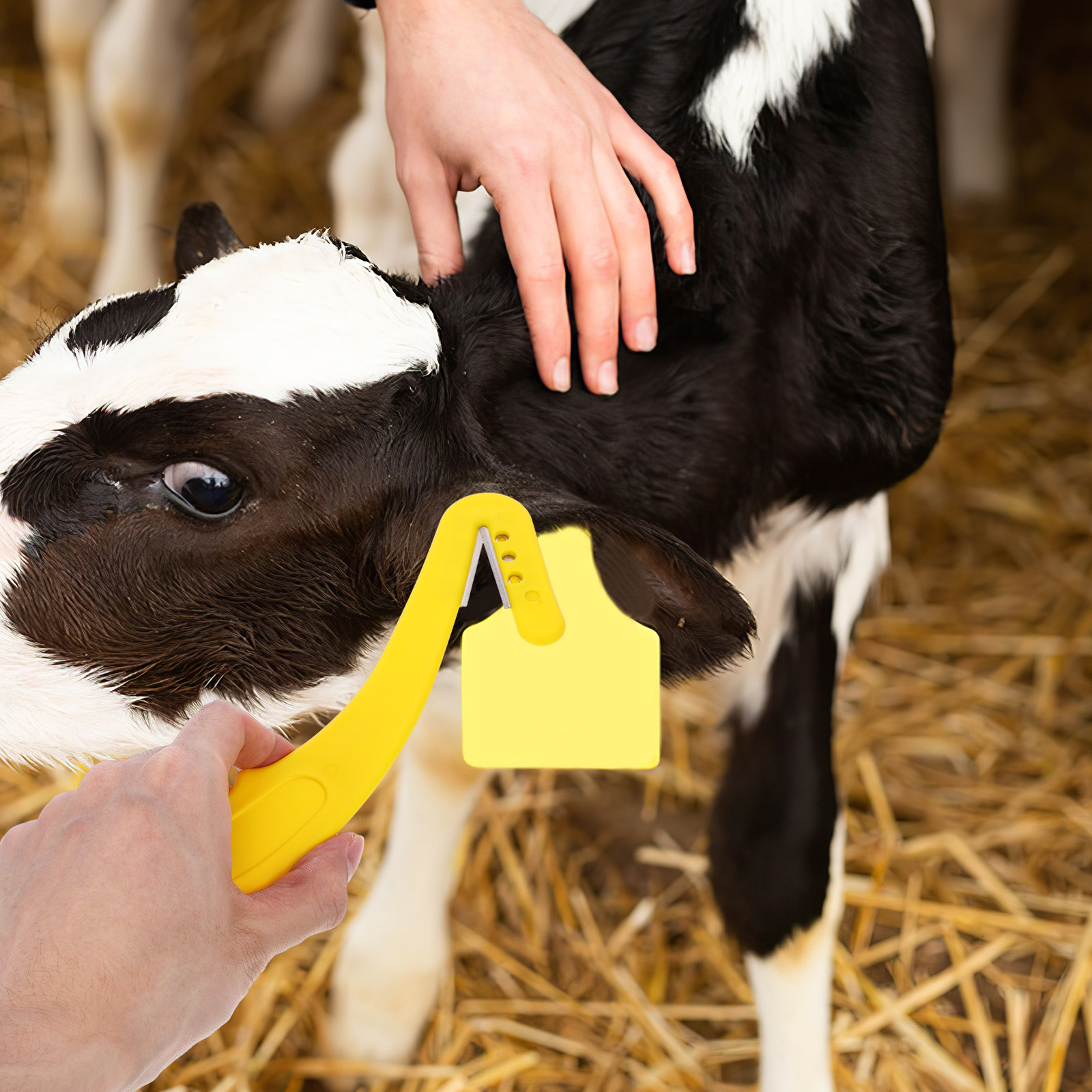 Livestock Ear Tag - 2Pcs Ear Tag Remover Tool Ergonomic