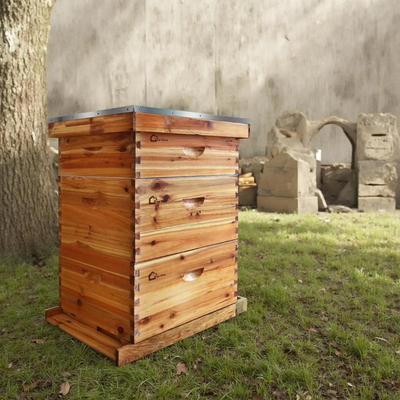 10-Frame Complete Beehive Kit, - Beehive Frame Wax ulasan dan harga