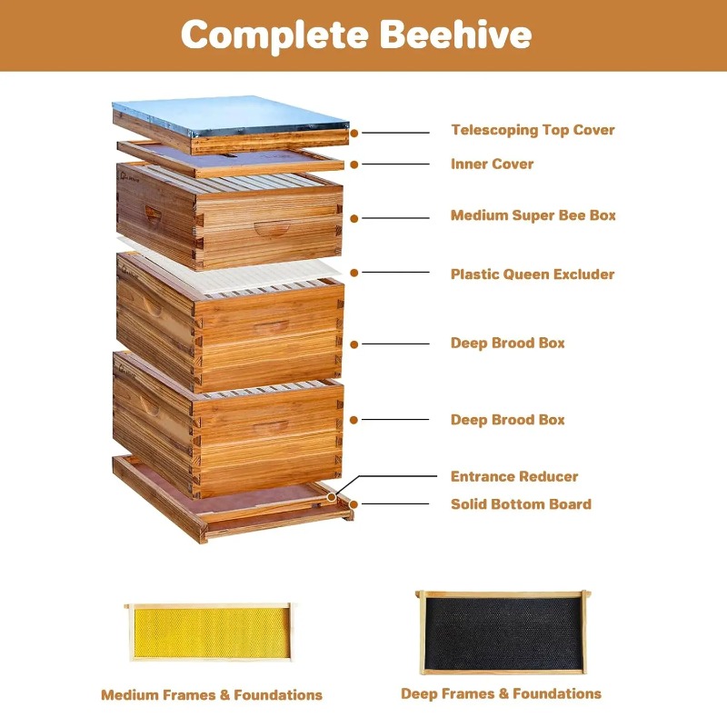 10-Frame Complete Beehive Kit, - Beehive Frame Wax ulasan dan harga