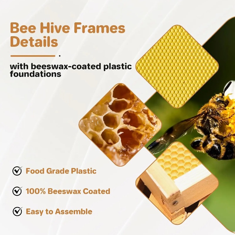 10-Frame Complete Beehive Kit, - Beehive Frame Wax ulasan dan harga