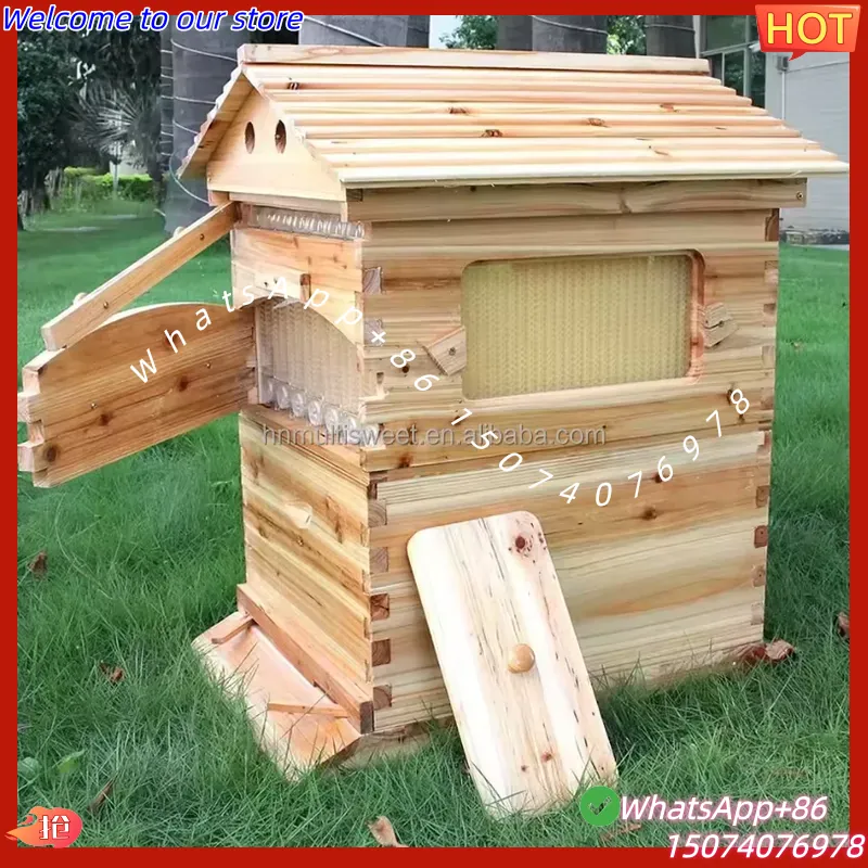 2026 Chinese Wax-Coated China  - Beehive Frame Wax ulasan dan harga