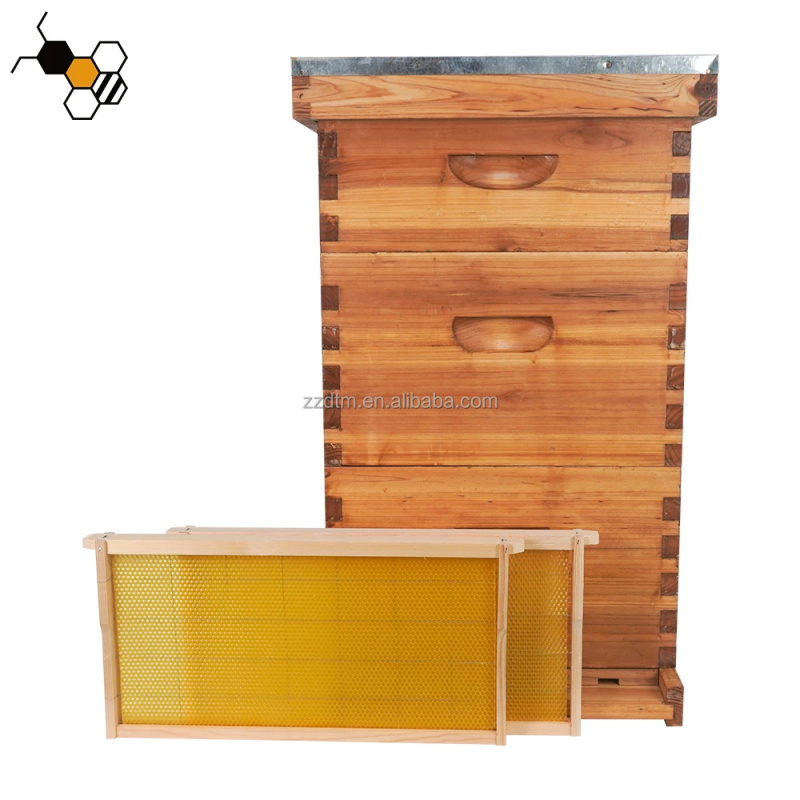 High-Quality 30-Frame Bee Hive - Beehive Frame Wax ulasan dan harga