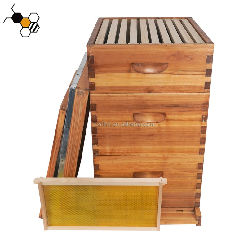 High-Quality 30-Frame Bee Hive - Beehive Frame Wax ulasan dan harga
