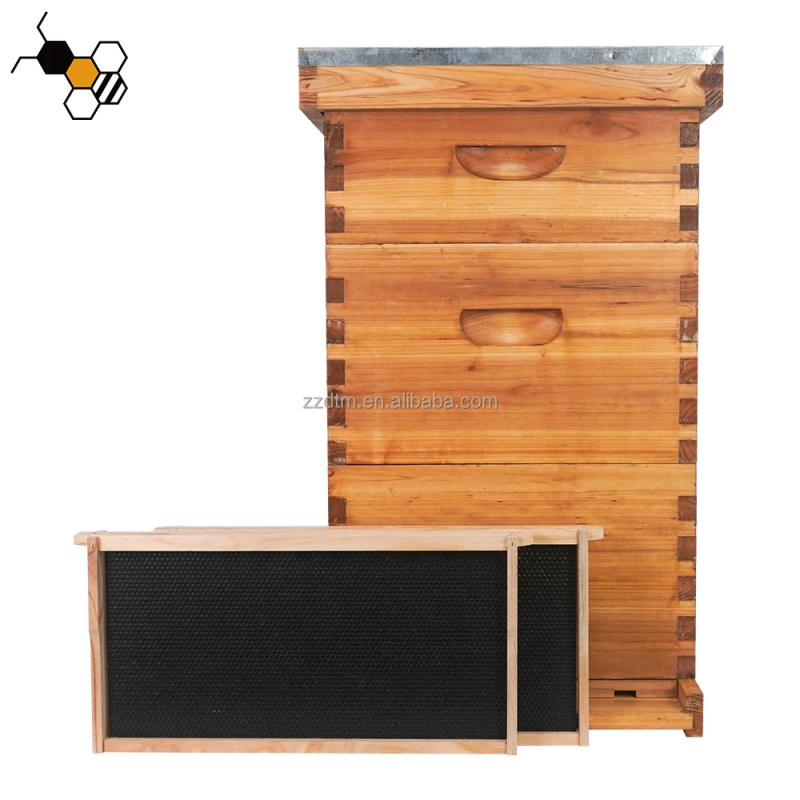 High-Quality 30-Frame Bee Hive - Beehive Frame Wax ulasan dan harga
