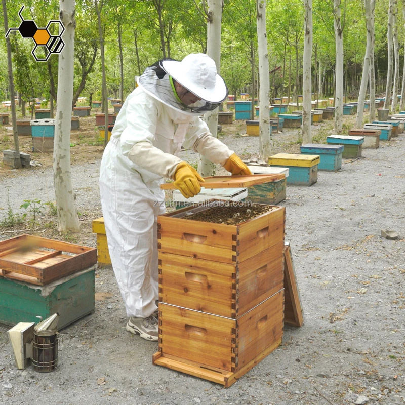High-Quality 30-Frame Bee Hive - Beehive Frame Wax ulasan dan harga