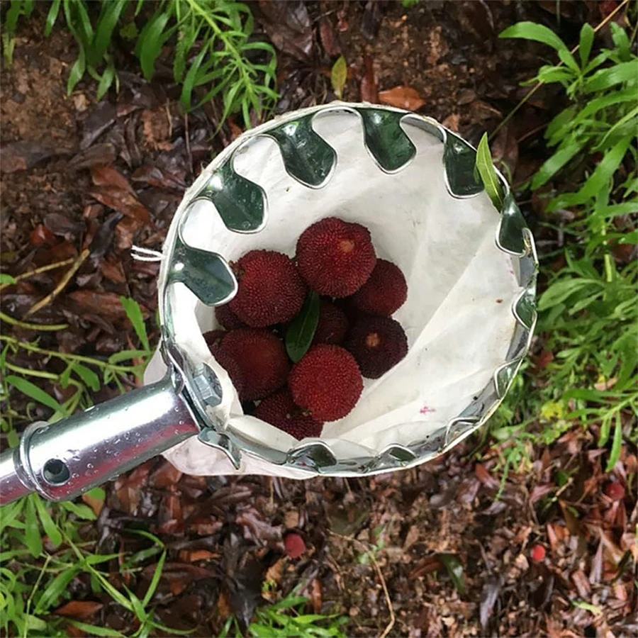 Tree Fruit Picker Practical Ga - Agriculture Farming Practices ulasan dan harga
