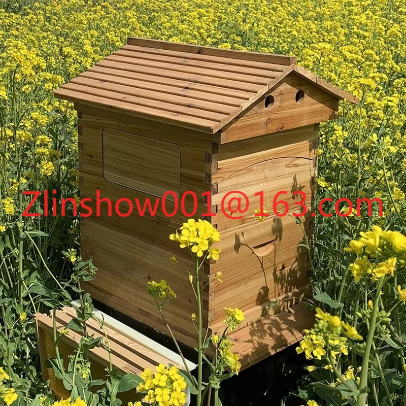 Factory Price Automatic Beehiv - Beehive Frame Wax ulasan dan harga