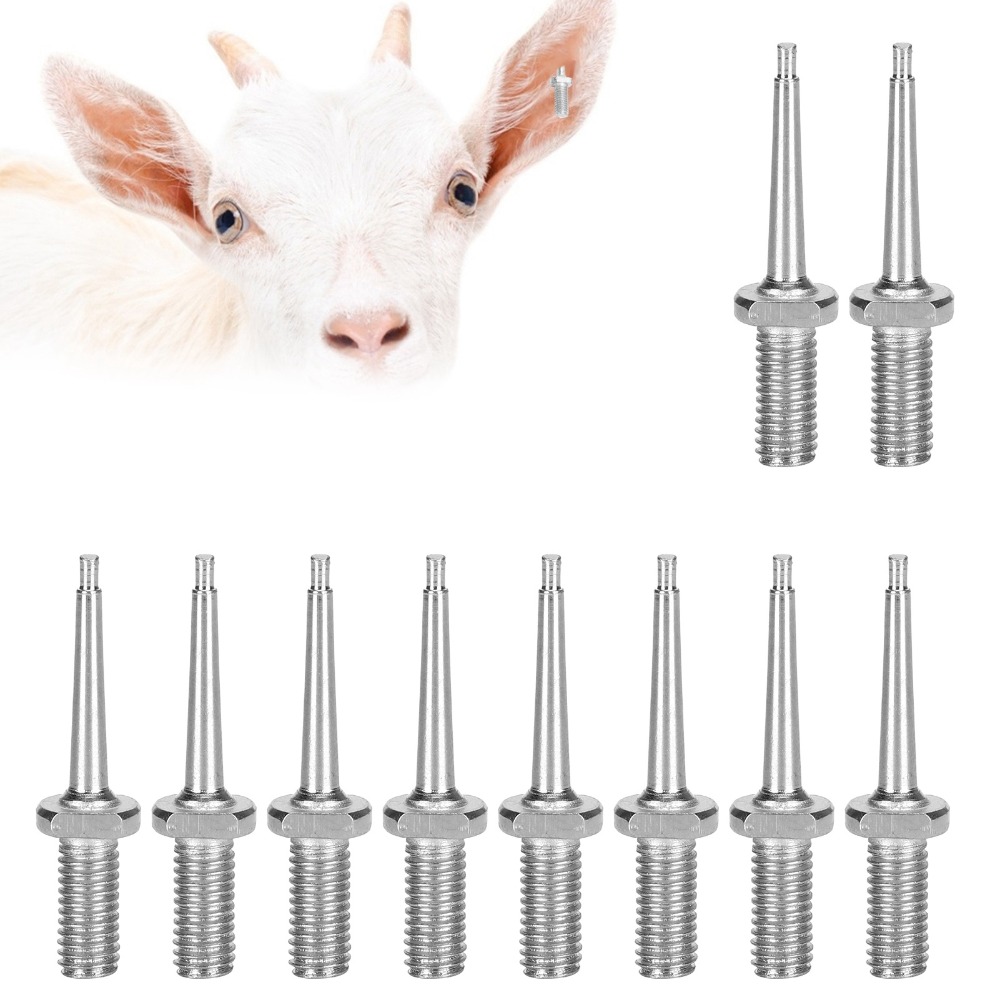 10Pcs Practical Stainless Stee - Livestock Ear Tag ulasan dan harga
