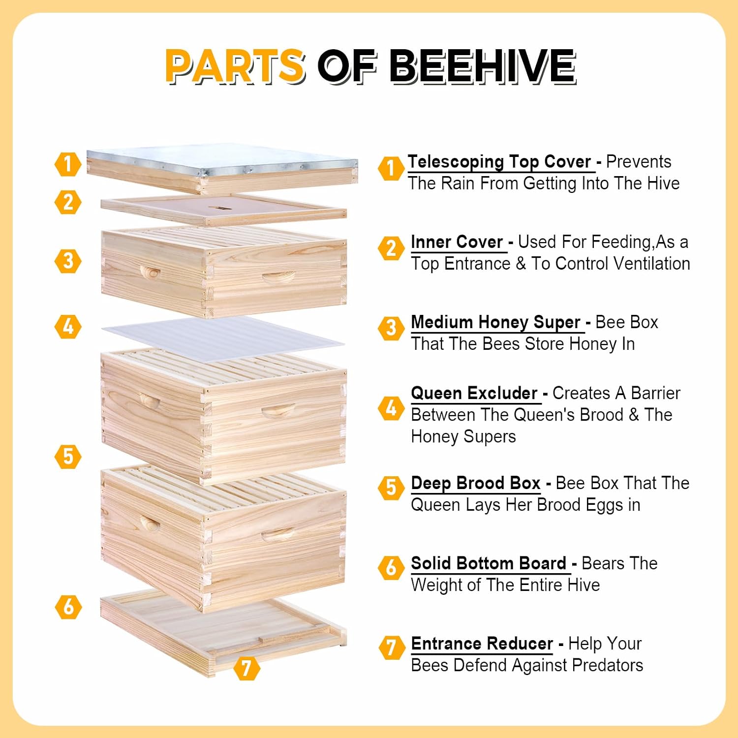 10-Frame Complete Bee Hives an - Beehive Frame Wax ulasan dan harga