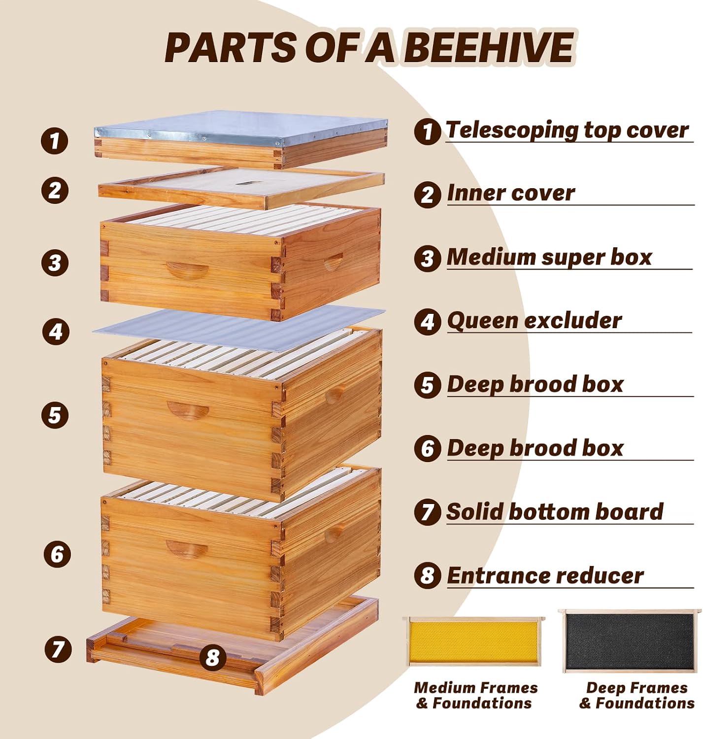 10-Frame Langstroth Bee Hive C - Beehive Frame Wax ulasan dan harga