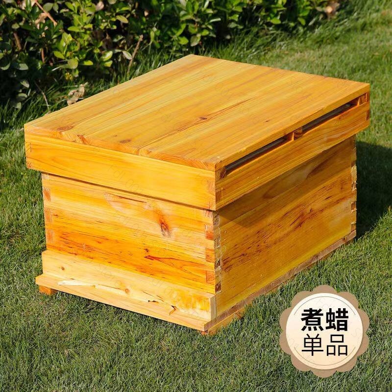 Complete Beehive Kit 10 Frames - Beehive Frame Wax ulasan dan harga