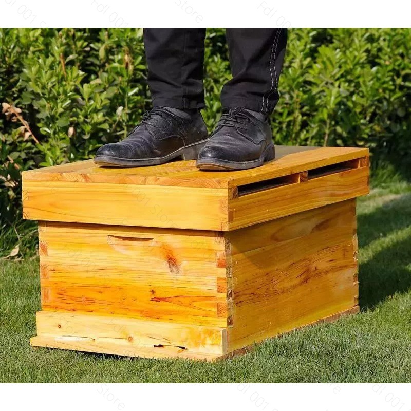 Complete Beehive Kit 10 Frames - Beehive Frame Wax ulasan dan harga