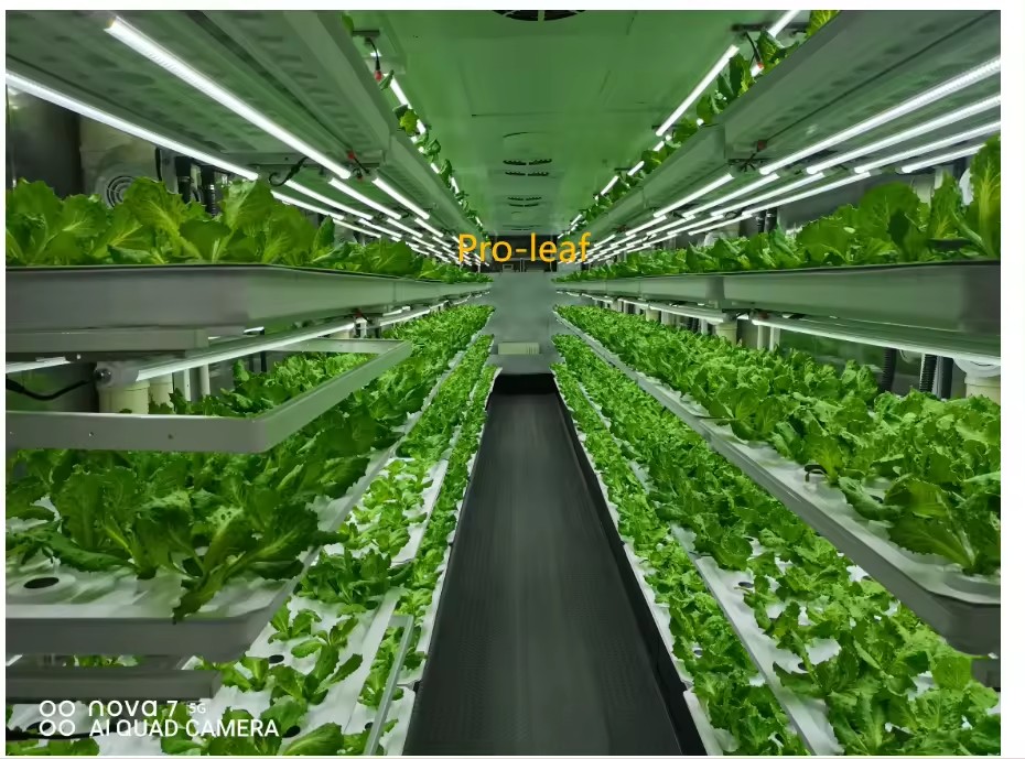 f Greenhouse Agricultural Equi - Farming Agriculture Equipment ulasan dan harga
