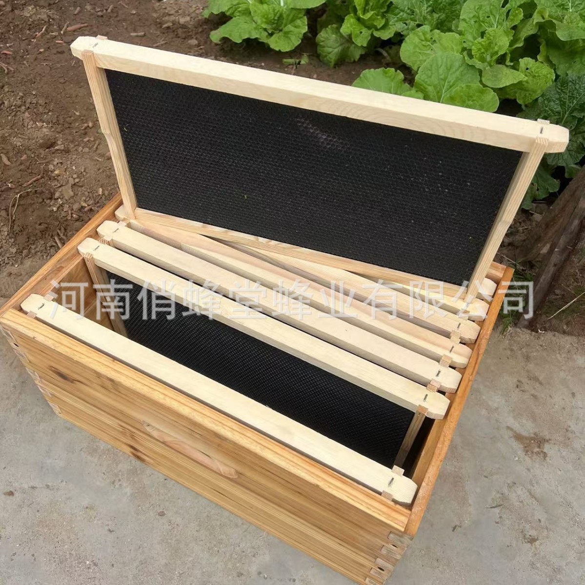 Beekeeping Tools First Class S - Beehive Frame Wax ulasan dan harga