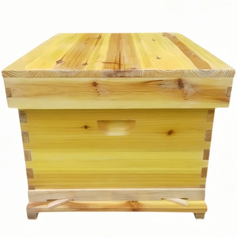 Bee Hive in Bee Box, A Full Se - Beehive Frame Wax ulasan dan harga