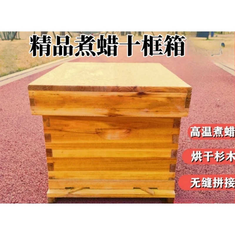 Bee Hive in Bee Box, A Full Se - Beehive Frame Wax ulasan dan harga