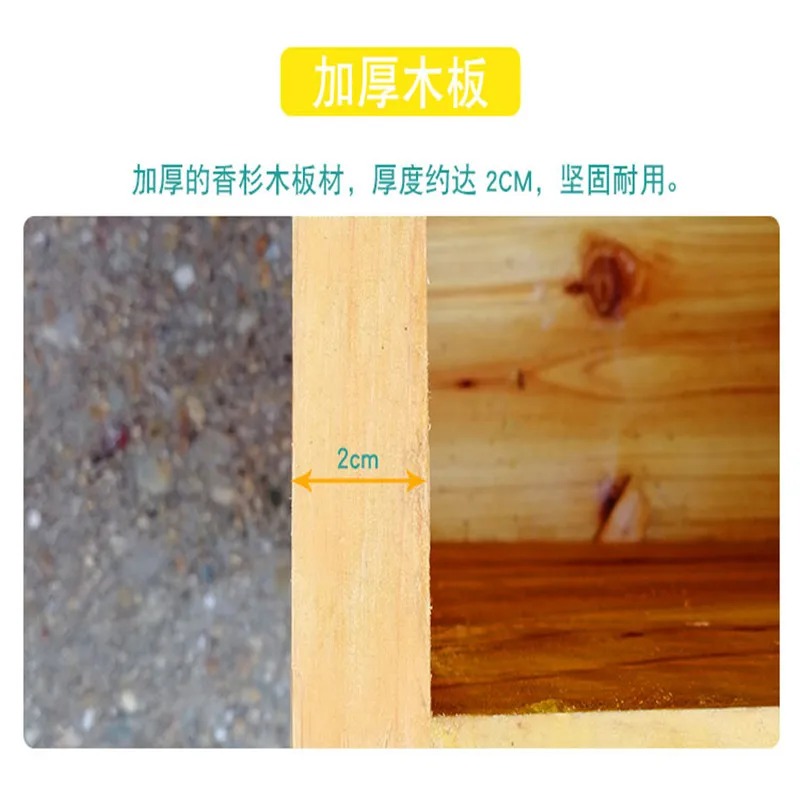 Bee Hive in Bee Box, A Full Se - Beehive Frame Wax ulasan dan harga