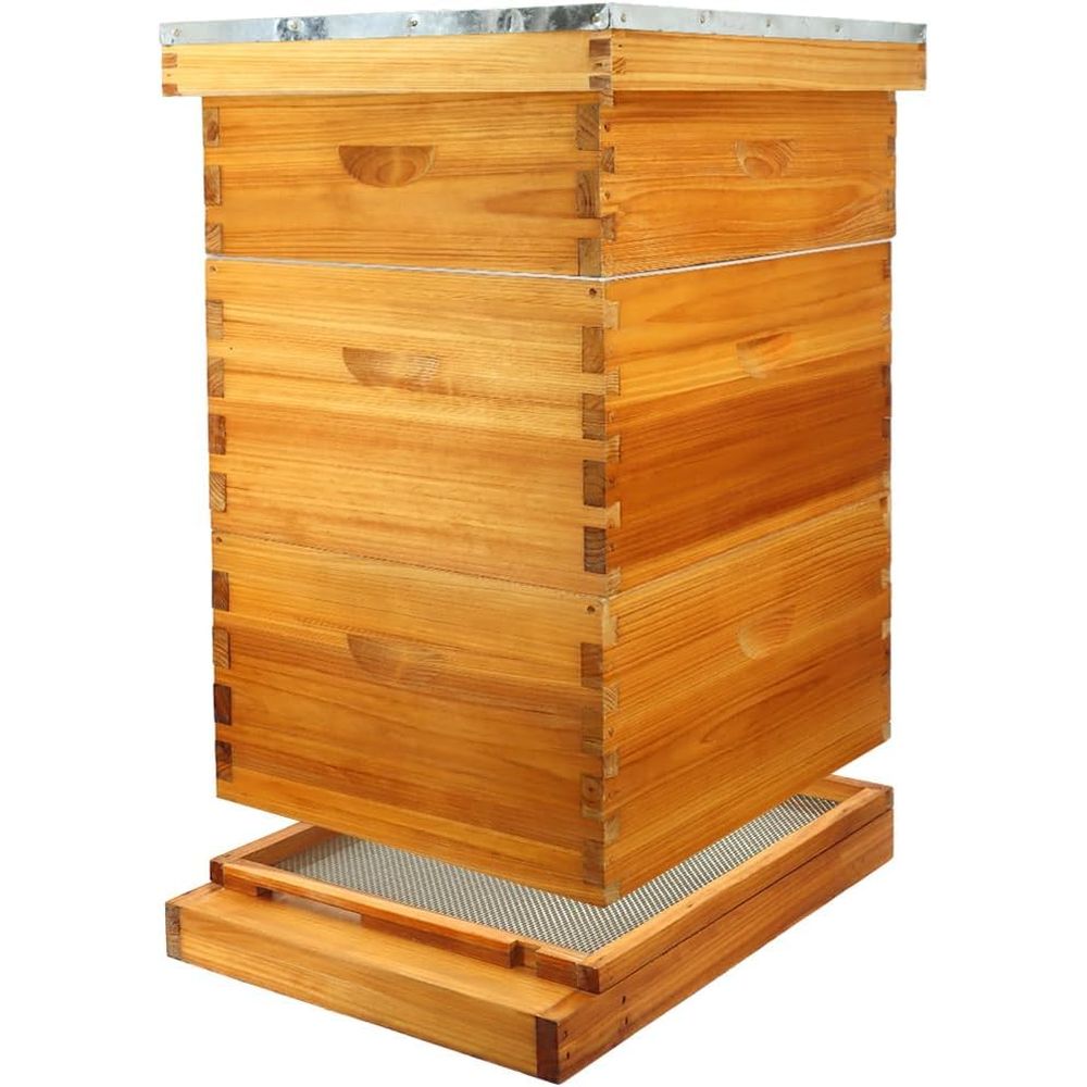 10-Frame Beehive Kit with Waxe - Beehive Frame Wax ulasan dan harga