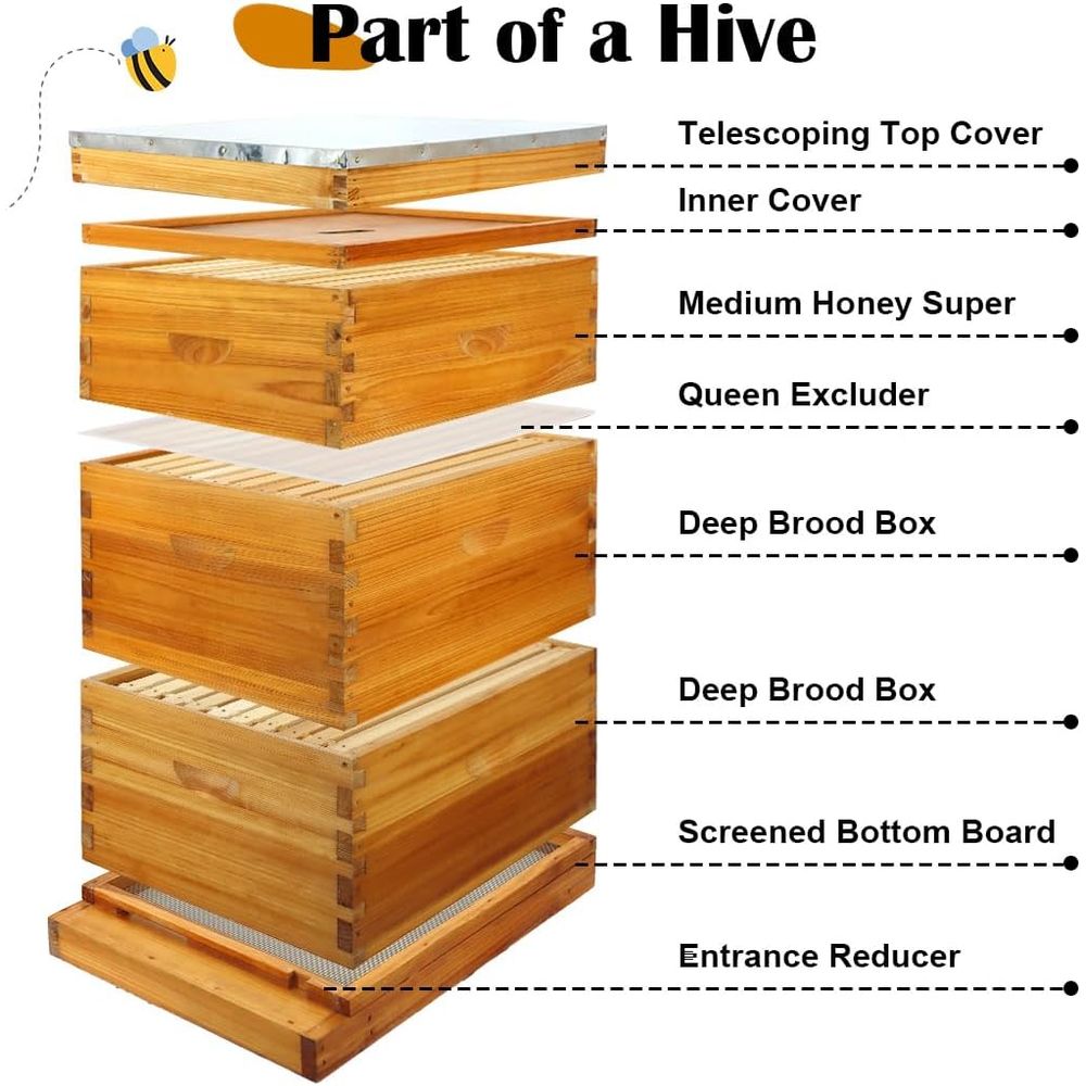 10-Frame Beehive Kit with Waxe - Beehive Frame Wax ulasan dan harga
