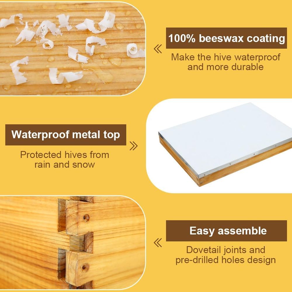 10-Frame Beehive Kit with Waxe - Beehive Frame Wax ulasan dan harga