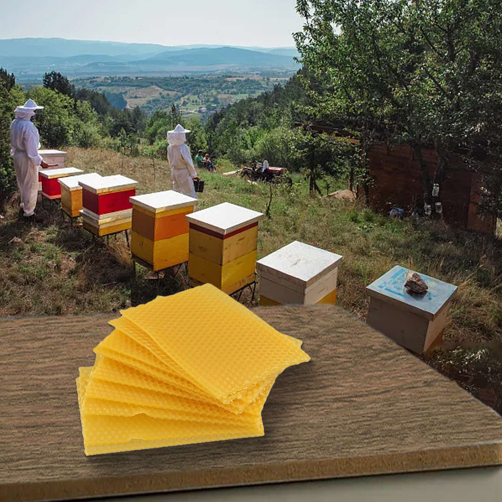 Bee Hive Wax Frames 9cm524x Eq - Beehive Frame Wax ulasan dan harga