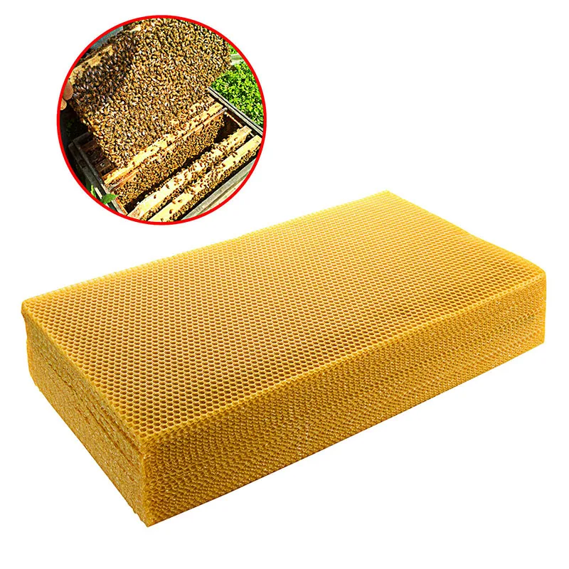 30pcs/pack Bee Comb Foundation - Beehive Frame Wax ulasan dan harga