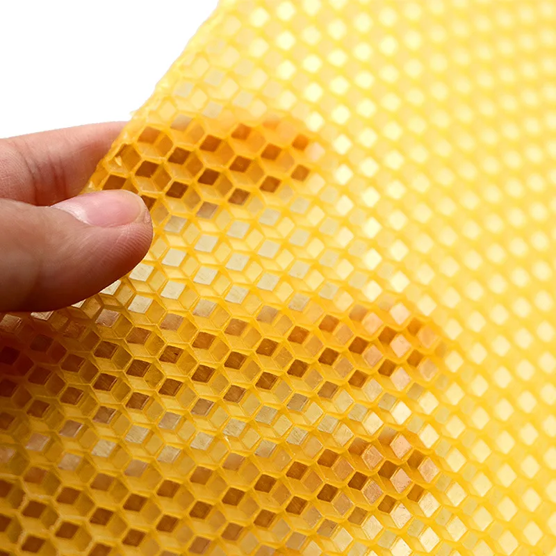 30pcs/pack Bee Comb Foundation - Beehive Frame Wax ulasan dan harga